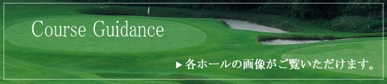 コースガイダンス 各ホールの画像がご覧いただけます。