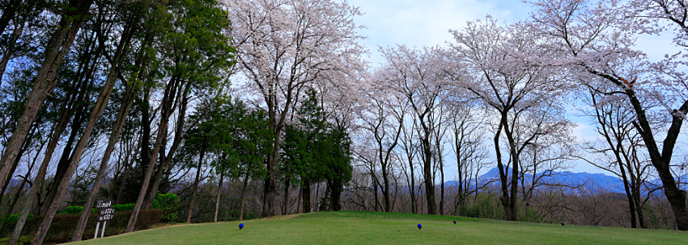 雄大な景色の中でゴルフプレーをお楽しみください。